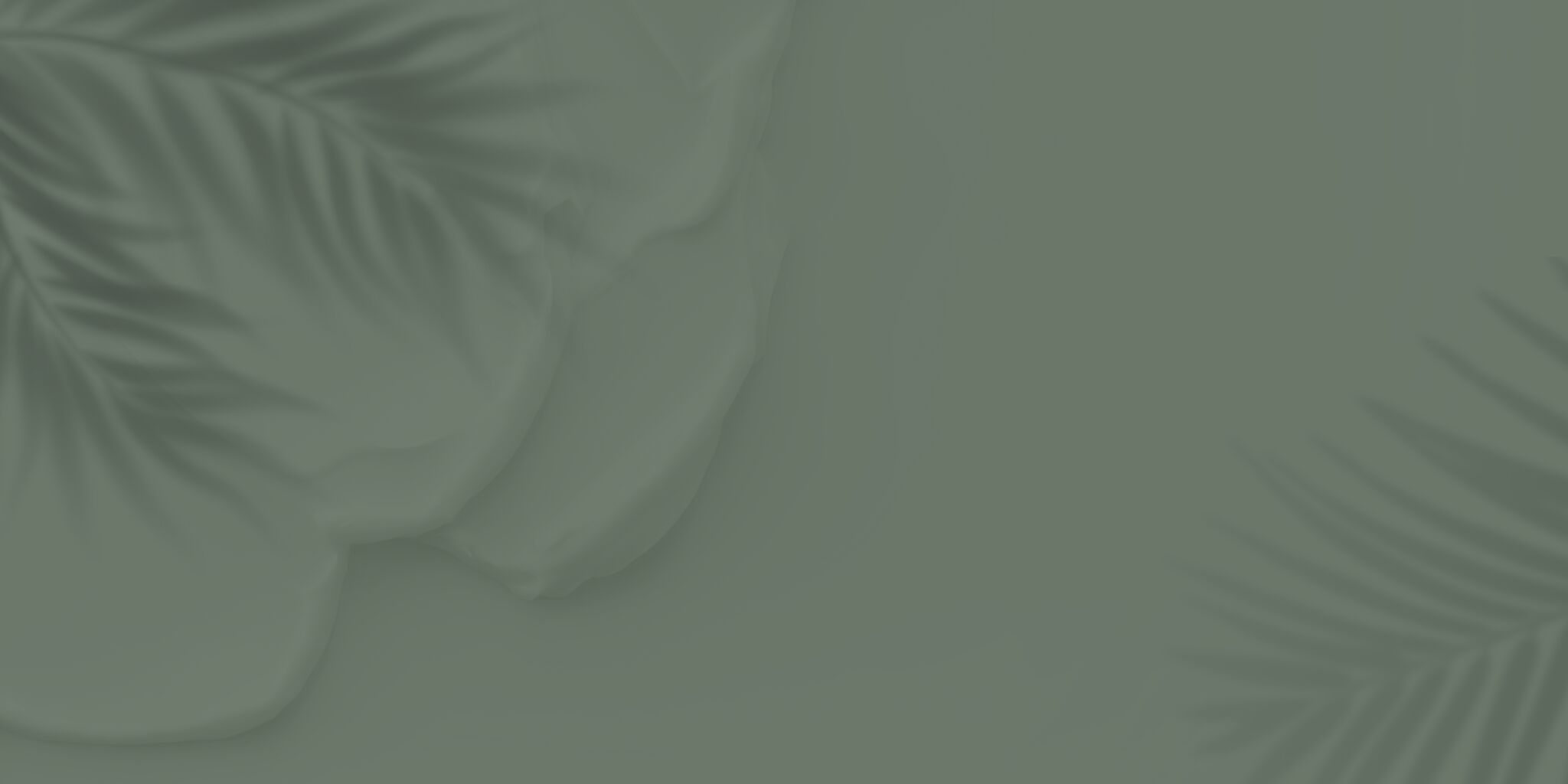 Section background